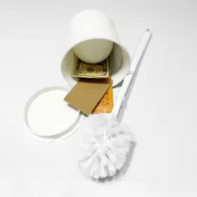 708214145592 ALICE BROWNING Toilet Brush Diversion Safe Stash #3