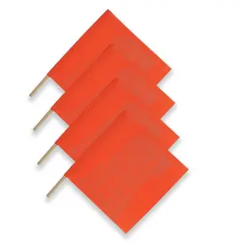 313049257251 BOEN Safety Flags Parking Aid