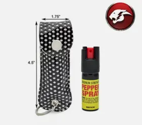 723905975500 CHEETAH Maximum Pepper Spray Security Blackshin #2
