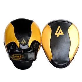 13965 LAST PUNCH Glod Curved Coaching Gloves Punching Boxing