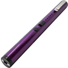 SWPEN25PK STREETWISE Pain Pen Stun Gun