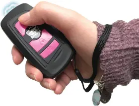SWR23BP STREETWISE Street Wise Security Razor Stun Gun