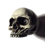 1/2 Skull Cane Knob Hot Rat Street Rod Punk Goth Walking Stick Made In Usa 3. Fixed Price $26.00.