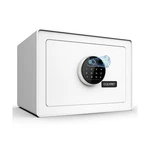 Goldenkey Luxury Jewelry Safe With Fingerprint&keypad Lock, Document Box.... Fixed Price $127.09.