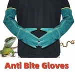Animal Handling Anti Bite Gloves Training Cat Dog Pet Leather Safety Protective. Fixed Price $20.99.