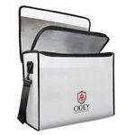 Fireproof Document Bag - Box Thermal Insulated Xl, Silver. Fixed Price $57.11.